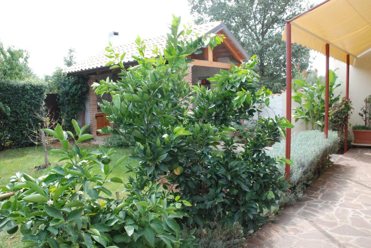 Apartmani Radin Rosini Exterior photo